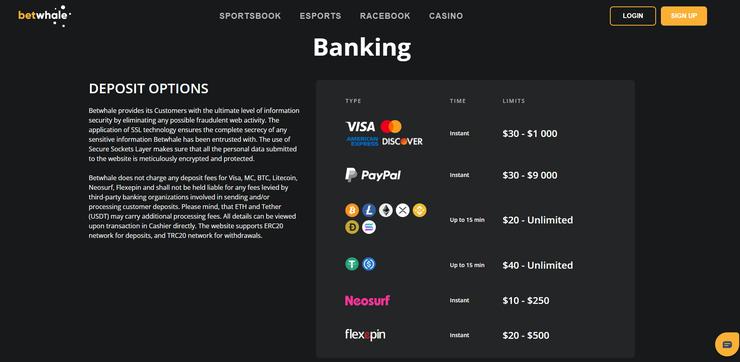 BetWhale deposit methods
