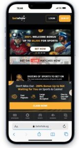 BetWhale Texas sportsbook online