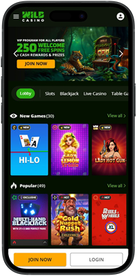 Wild Casino Online for Real Money