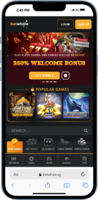 betwhale - best online casinos california