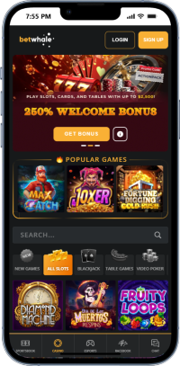 BetWhale, the best online casino for credit card withdrawals