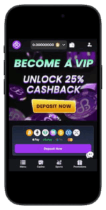 Winning Big in No Time: The Allure of Instant Withdrawal Crypto Casinos