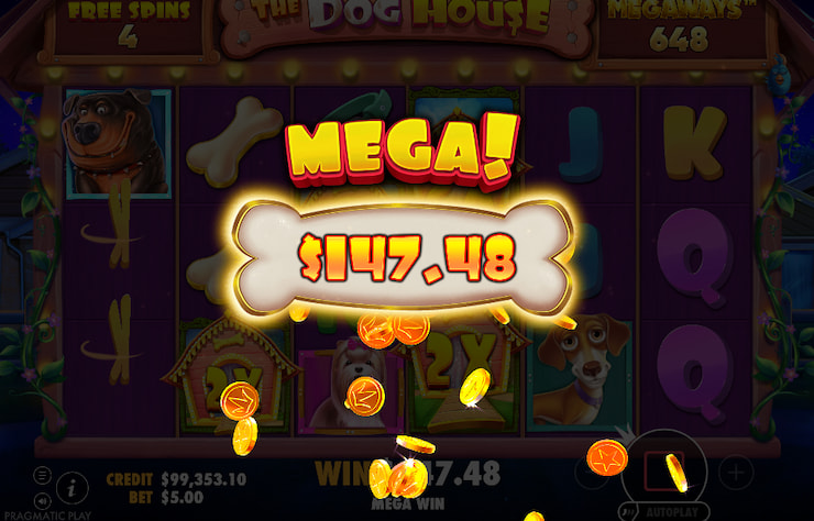 Mega win worth $147.48 in The Dog House Megaways slot