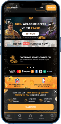 BetWhale offshore sportsbook