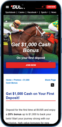 BUSR offshore sportsbook