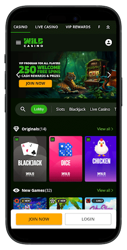 Wild Casino
