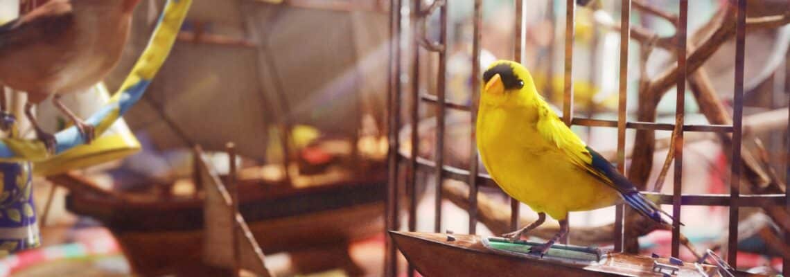 arc raiders avian alarm project