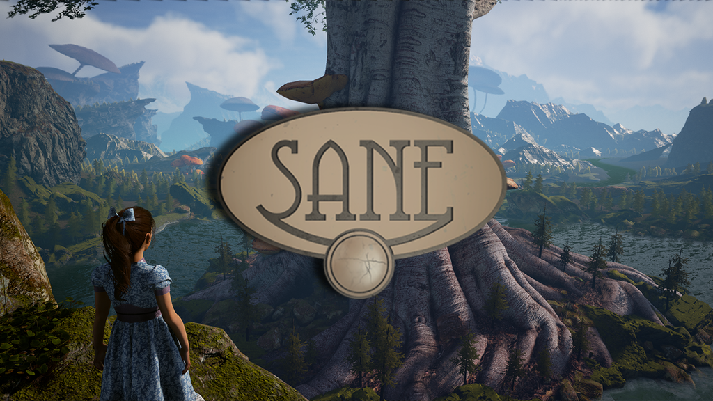 Sane sets very logical goal on Kickstarter