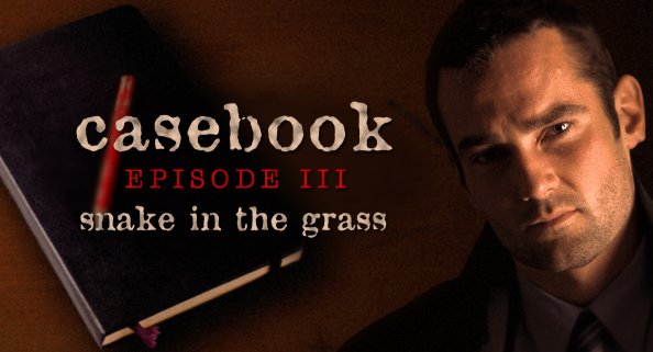 Casebook: Episode III – Snake in the Grass