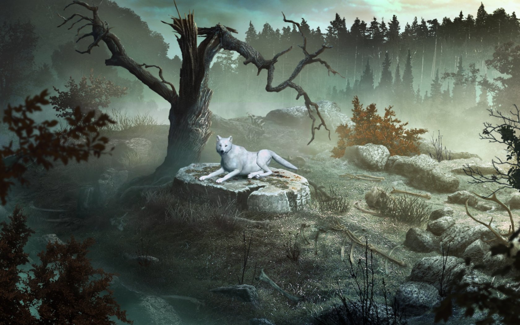 Shiver: Moonlit Grove