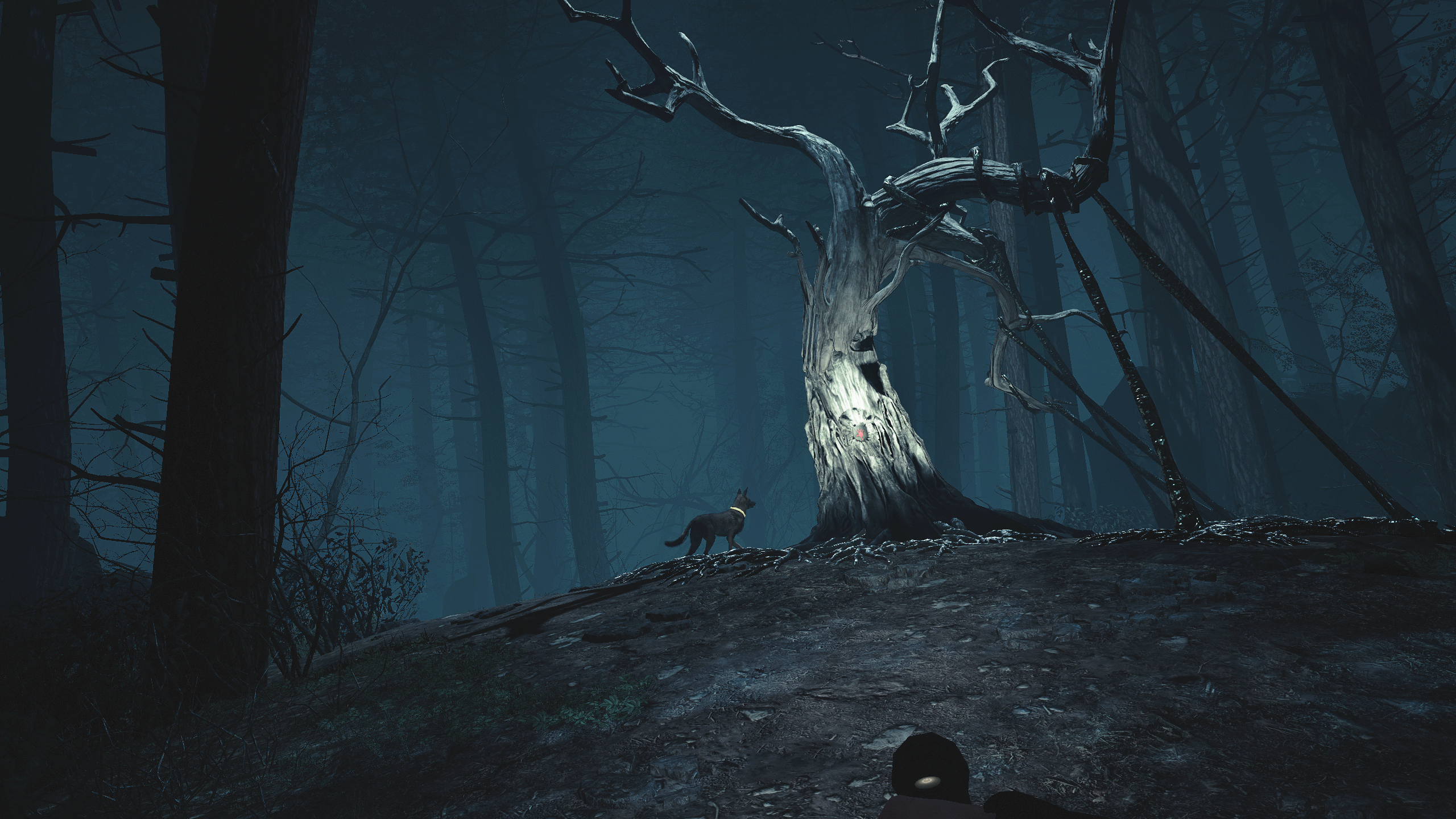 Blair Witch VR Edition