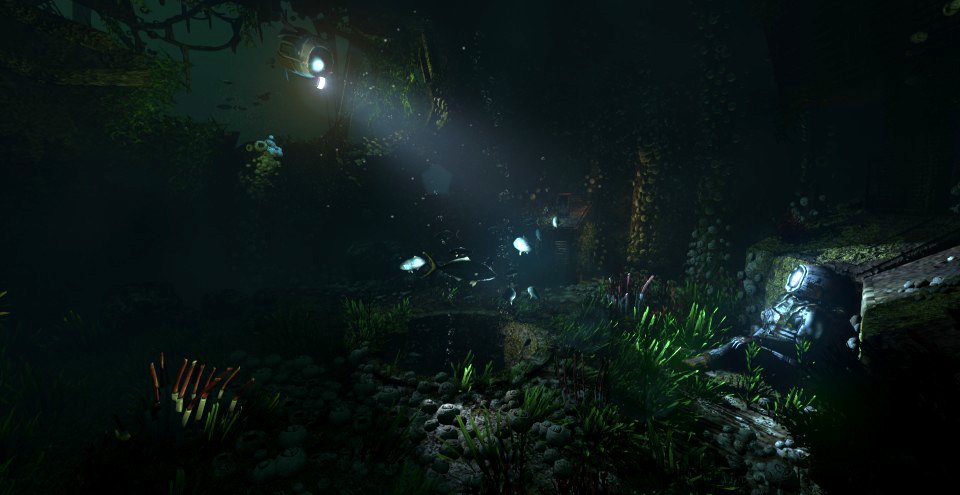 SOMA
